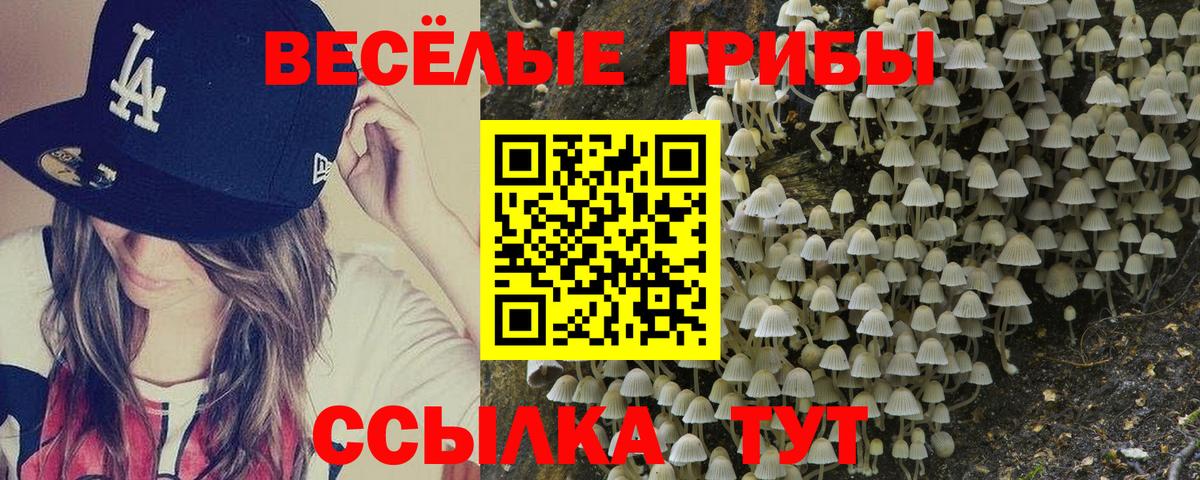 Псилоцибиновые грибы GOLDEN TEACHER  Псилоцибиновые грибы Psilocybine cubensis  Вход с VPN  цены наркотик  Ишим 